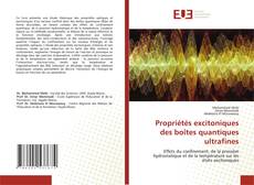 Propriétés excitoniques des boîtes quantiques ultrafines的封面