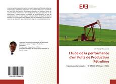 Bookcover of Etude de la performance d'un Puits de Production Pétrolière