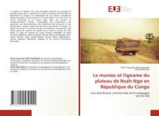 Bookcover of Le manioc et l'igname du plateau de Nsah-Ngo en République du Congo
