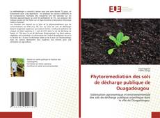 Обложка Phytoremediation des sols de décharge publique de Ouagadougou