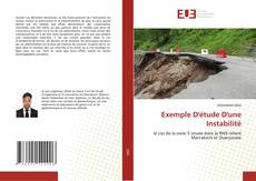 Exemple D'étude D'une Instabilité kitap kapağı