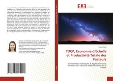 Capa do livro de TUCP, Economie d’Echelle et Productivité Totale des Facteurs 