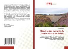 Capa do livro de Modélisation intégrée du bassin versant de Sebou 