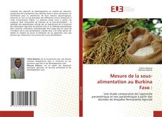 Bookcover of Mesure de la sous-alimentation au Burkina Faso :