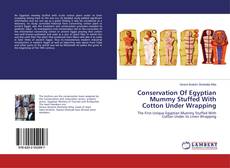 Copertina di Conservation Of Egyptian Mummy Stuffed With Cotton Under Wrapping