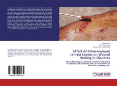 Copertina di Effect of Cinnamomum tamala Leaves on Wound Healing in Diabetes