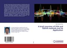 Buchcover von A brief overview of FGH and TDDVR methods and its Application
