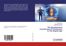 Bookcover of The Development Coordinates Of Enterprises In The Digital Age