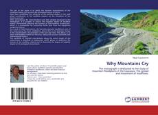 Copertina di Why Mountains Cry