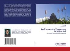 Copertina di Performance of Sugarcane in Saline Soil