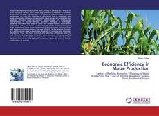Couverture de Economic Efficiency in Maize Production