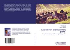Copertina di Anatomy of the Mammary gland