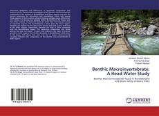 Buchcover von Benthic Macroinvertebrate: A Head Water Study