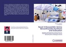 Copertina di Novel 4-Oxoazetidin Amino Benzothiazoles-Synthesis and Evaluation