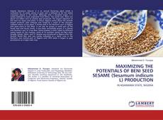 Copertina di MAXIMIZING THE POTENTIALS OF BENI SEED SESAME (Sesamum indicum L) PRODUCTION