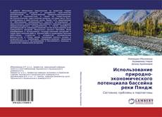Buchcover von Использование природно-экономического потенциала бассейна реки Пяндж