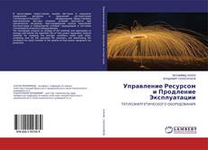 Buchcover von Управление Ресурсом и Продление Эксплуатации