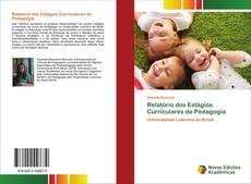 Relatório dos Estágios Curriculares de Pedagogia kitap kapağı