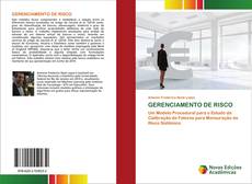 GERENCIAMENTO DE RISCO kitap kapağı