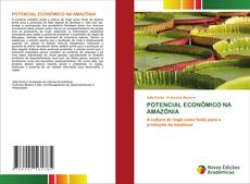 POTENCIAL ECONÔMICO NA AMAZÔNIA kitap kapağı