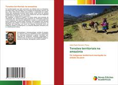 Buchcover von Tensões territoriais na amazônia