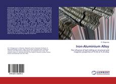 Buchcover von Iron-Aluminium Alloy