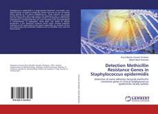 Buchcover von Detection Methicillin Resistance Genes in Staphylococcus epidermidis