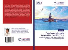 Buchcover von ÖRGÜTSEL GÜVENİN DUYGUSAL EMEĞE ETKİSİ