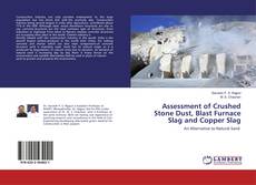 Copertina di Assessment of Crushed Stone Dust, Blast Furnace Slag and Copper Slag