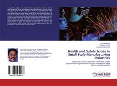 Buchcover von Health and Safety Issues in Small Scale Manufacturing Industries