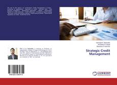 Buchcover von Strategic Credit Management