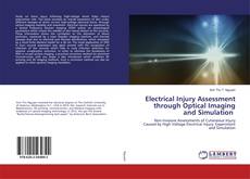 Buchcover von Electrical Injury Assessment through Optical Imaging and Simulation