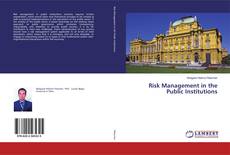 Buchcover von Risk Management in the Public Institutions