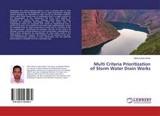 Copertina di Multi Criteria Prioritization of Storm Water Drain Works