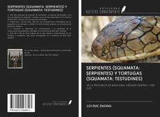 Bookcover of SERPIENTES (SQUAMATA: SERPIENTES) Y TORTUGAS (SQUAMATA: TESTUDINES)