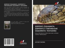 Bookcover of SERPENTI (SQUAMATA: SERPENTI) E TARTARUGHE (SQUAMATA: TESTUDINI)