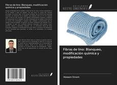 Bookcover of Fibras de lino: Blanqueo, modificación química y propiedades