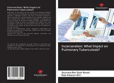 Capa do livro de Incarceration: What Impact on Pulmonary Tuberculosis? 