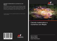 Bookcover of Calcolo matematico e numerico con Maple