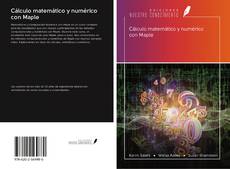 Bookcover of Cálculo matemático y numérico con Maple