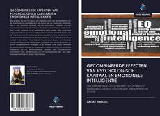 Buchcover von GECOMBINEERDE EFFECTEN VAN PSYCHOLOGISCH KAPITAAL EN EMOTIONELE INTELLIGENTIE