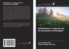Estimación e impacto de la economía sumergida kitap kapağı