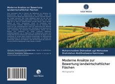 Bookcover of Moderne Ansätze zur Bewertung landwirtschaftlicher Flächen