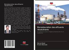 Buchcover von Biorestauration des effluents récalcitrants