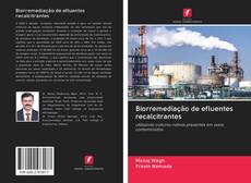 Bookcover of Biorremediação de efluentes recalcitrantes