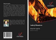 Bookcover of Użycie ognia