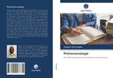 Capa do livro de Phänomenologie 