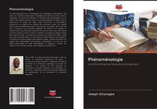 Bookcover of Phénoménologie