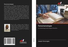 Buchcover von Fenomenologia