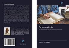 Capa do livro de Fenomenologie 